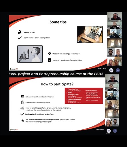 PeeL project and Entrepreneurship course at the FEBA